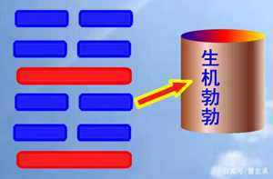 震卦代表什么风水理念(震卦代表什么风水理念呢)