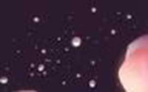 十二星座男性格分析大全-神算网(十二星座男生性格分析)