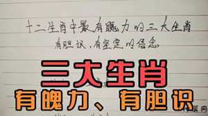 信心足是什么生肖(信心足是什么生肖动物)