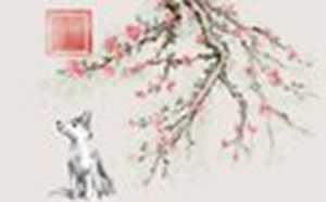 2022年属狗的财运如何(2022年属狗的财运如何)
