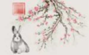 属兔的有哪些年份分别多少岁(属兔的有哪几个年龄)