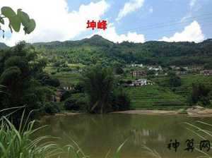 猪形风水地(猪形风水地葬哪个部位)
