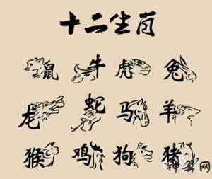 12生肖猛禽生肖有哪些(十二生肖猛禽)