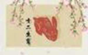 明年生肖兔的命运好不好呢(生肖兔2023本命年怎么样)