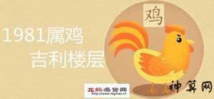 81年属鸡买房推荐风水(81年属鸡买房推荐风水吗)