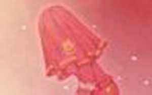 5月属于什么星座(5月属于什么星座)