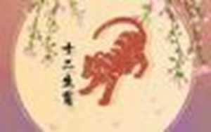 1986属虎36岁会离婚(1986属虎36岁会离婚吗)