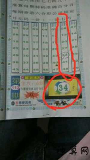 小姐的朋友是什么生肖(小姐的朋友是什么生肖呢)