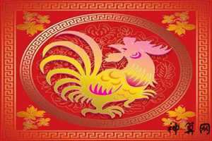 1969鸡几楼好风水(1969鸡住几层楼风水最好)