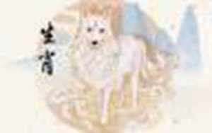 什么生肖玩物丧志
