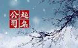 装修风格大全2022新款轻奢风