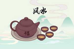 发财树放在哪里最旺财(金钱树和发财树放在哪里最旺财)