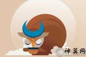 慢慢思考的生肖(慢慢思考的生肖是什么)