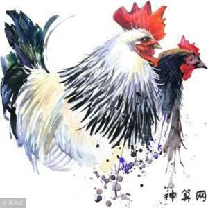 硬短级深打一生肖(硬短发适合什么发型)