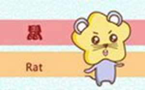 十二生肖未来五年的运势
