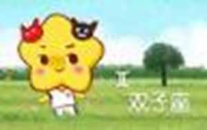 双子座彻底爱上一个人的表现