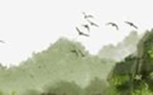 堪舆选墓地有几种判断方法基本准则(堪舆选墓地有几种判断方法基本准则是什么)