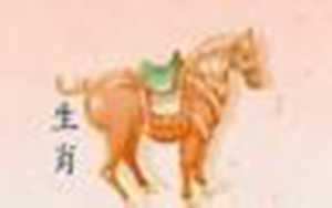 买马到哪里买好(买马到哪里买好)
