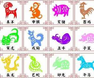 十二生肖谁最有钱-神算网(12生肖谁最有钱)