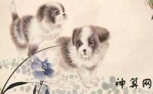 抱着狗拉屎打生肖(抱着狗拉屎打生肖动物)
