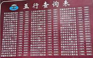 96正月五行属什么生肖(96年正月五行属什么)