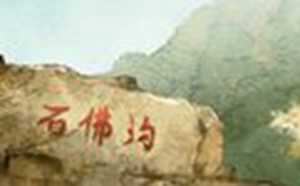1992属猴的命运如何(1992属猴11月男命运)