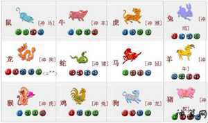 什么生肖投机