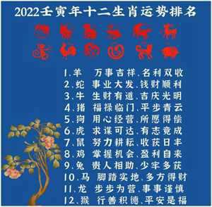 2018生肖运势化解(2018生肖运势大解析)