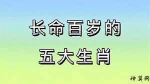性咸的生肖(最性咸的动物是什么生肖)