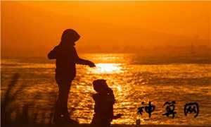 属相相生相克相冲表图片(属相相生相克相冲表图片大全)