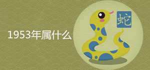 86五行属什么生肖(86五行属什么生肖属相)