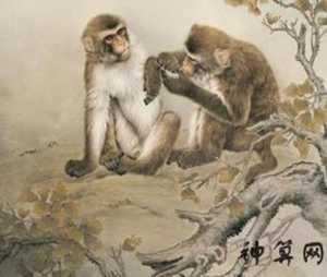 忠候的意思是什么生肖(忠候的意思是什么生肖呢)