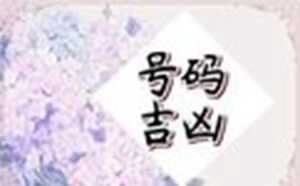 1988属龙终身最旺数字(1988属龙终身最旺数字)