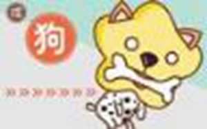 1994年属狗人婚姻命运(1994年属狗姻缘在哪年最旺盛)
