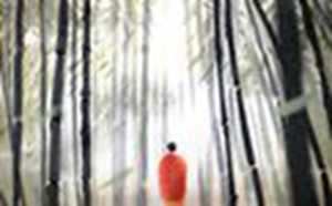 客厅挂鹿画好不好(十大最旺家的客厅挂画)
