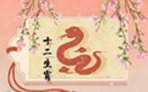2022年属蛇的财运怎么样(2022年属蛇的财运怎么样啊)