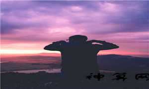 哪个星座比较真实(哪个星座比较真实一点)