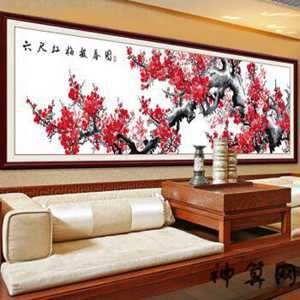 风水梅花放客厅好不好(风水梅花放客厅好不好呢)