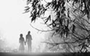 属马人最适合与什么属相结婚(属马人最适合与什么属相结婚呢)