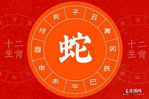 2026年是什么生肖年(2026年是什么生肖年)