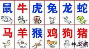 看理不理猜生肖(看理不理猜生肖是什么)