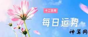 2021十二生肖第一星座网运势(十二生肖第一星座网2021年运势)