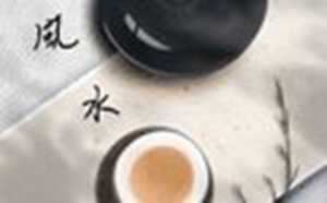 最旺入门玄关正对大门(最旺入门玄关正对大门)