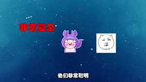 十二星座中的厉害人(十二星座中的厉害人物)