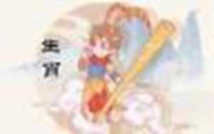 属猴的客厅摆放什么绿植好(属猴的客厅摆放什么绿植好风水)