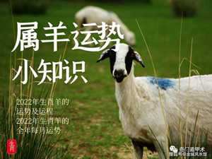 属羊人2022年每月运势及运程(属羊人2022年每月运势及运程详解)