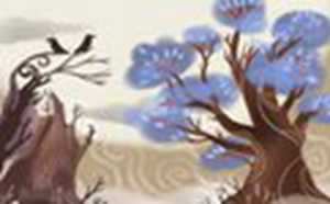 牙出问题与风水(牙出问题与风水有关吗)