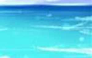 动漫绘画零基础入门教程(动漫绘画零基础入门教程)