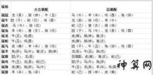 周公解梦十二生肖大全(周公解梦十二生肖大全)