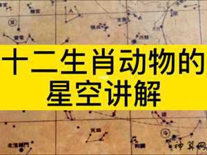 柳土獐宿星是什么生肖(柳土獐星宿是什么生肖)